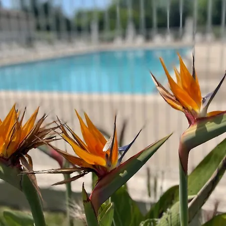 Les De Robinson: Riverside With Pool *